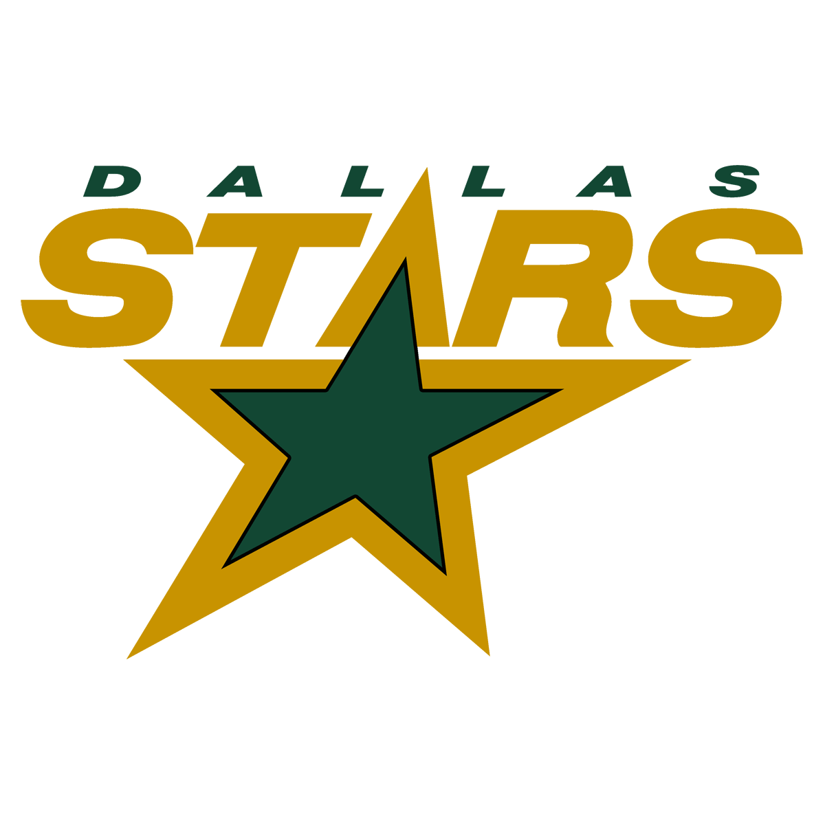 Dallas Stars Logo 1994-2013