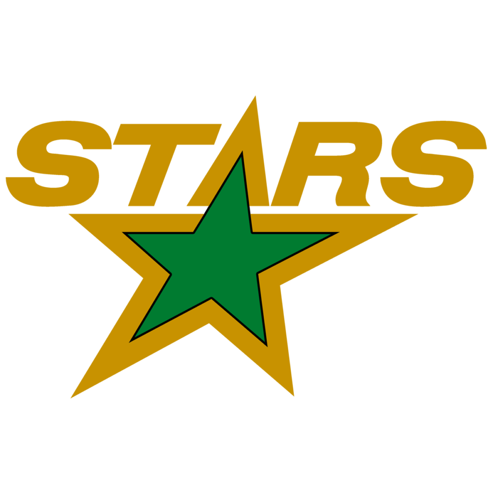 Minnesota North Stars Logo 19911993 FREE PNG Logos