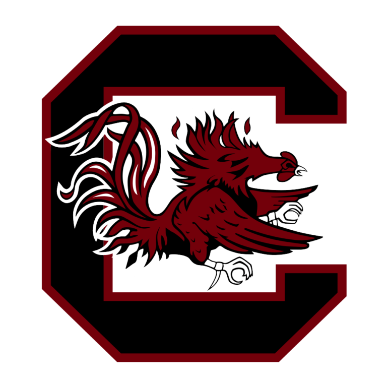 Home Logo