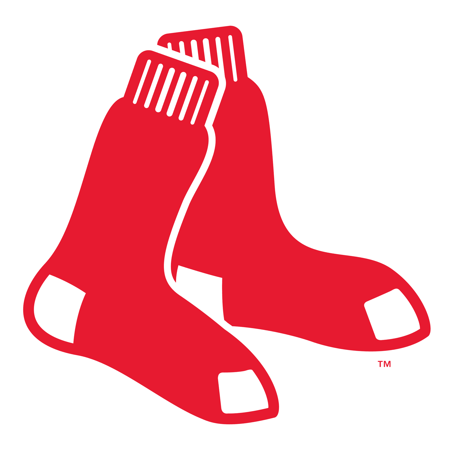 Boston Red Sox logo transparent PNG